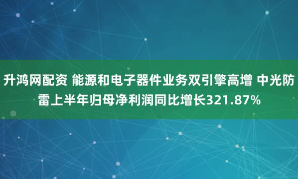升鸿网配资 能源和电子器件业务双引擎高增 中光防雷上半年归母净利润同比增长321.87%