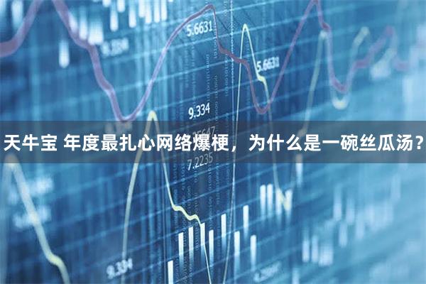 天牛宝 年度最扎心网络爆梗，为什么是一碗丝瓜汤？